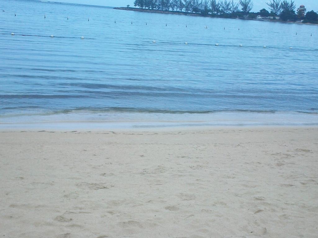 Turtle Towers Apartman Ocho Rios Kültér fotó