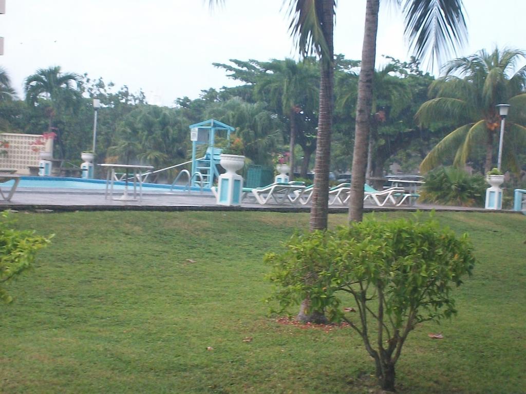 Turtle Towers Apartman Ocho Rios Kültér fotó